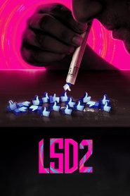 LSD 2: Love, Sex aur Dhokha 2 (2024) Hindi